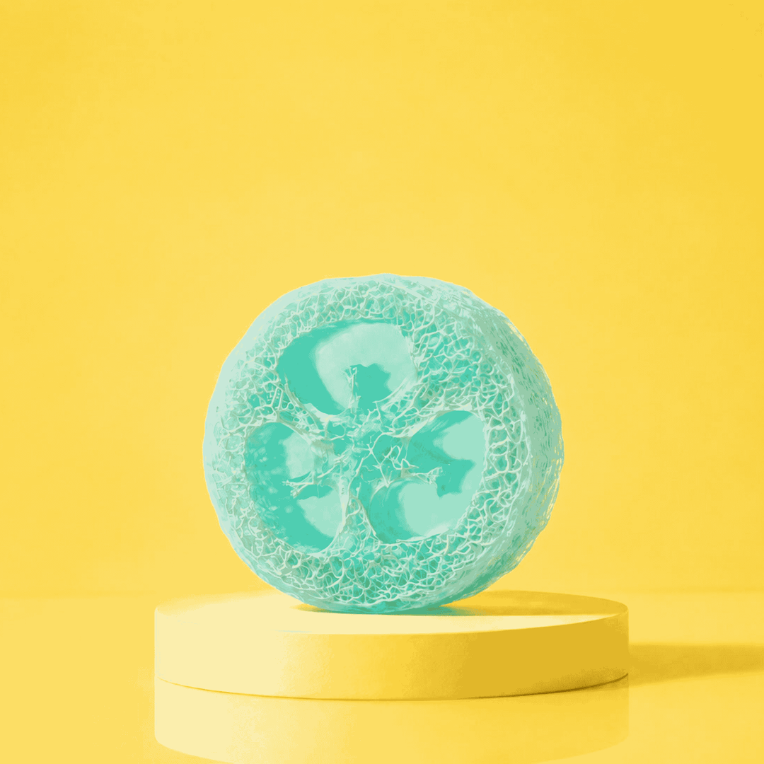 Loofah Soap
