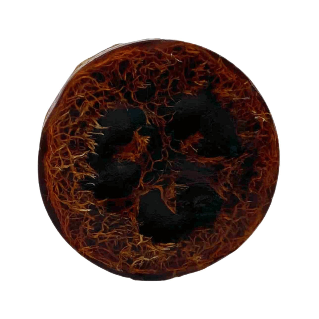 Autumn Spice Loofah Soap with a natural exfoliating loofah center and deep brown color on a white background.