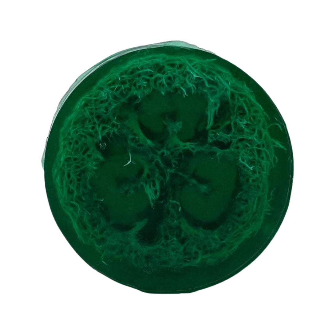 Citrus Grove Loofah Soap with a natural exfoliating loofah texture on a white background.