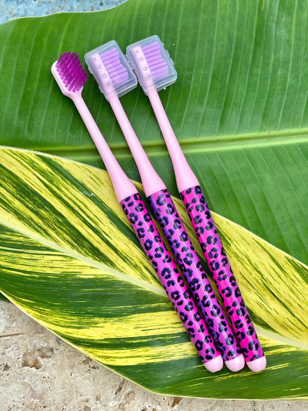 Boujie Bee Toothbrush-3 pack