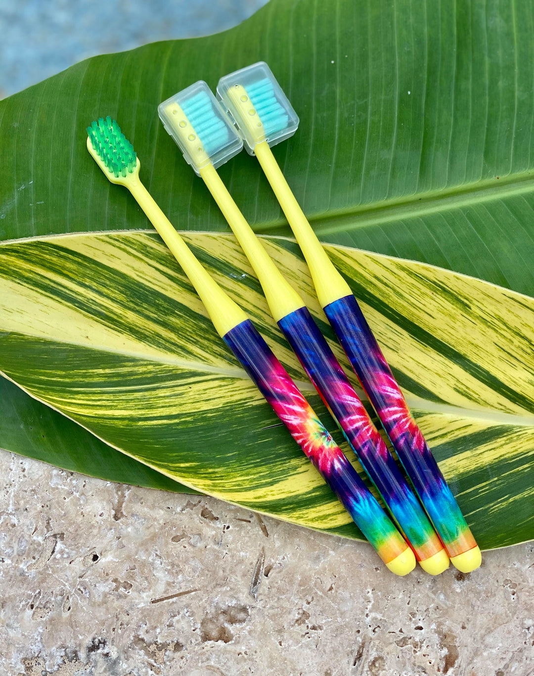 Boujie Bee Toothbrush-3 pack