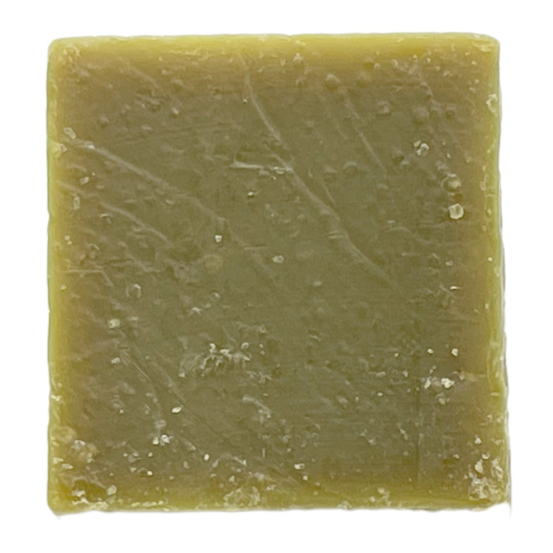 Coconut Lime Natural Soap Bars 4oz