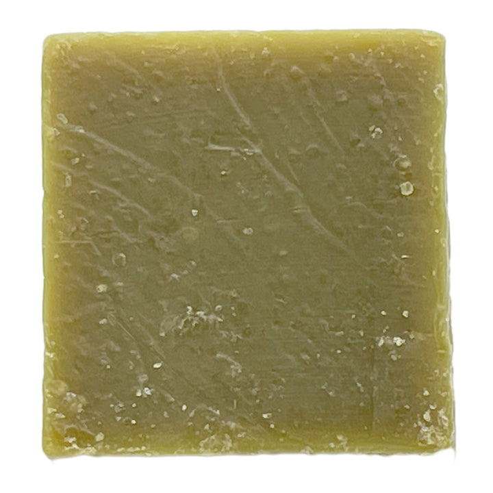 Coconut Lime Natural Soap Bars 4oz